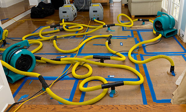 Professional Crawl Space Water Removal technician working in Riverside, ID